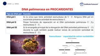 Biolog a Celular Tema 3 Replicaci n pptx biolog-a-celular-tema-3-replicaci-n-pptx