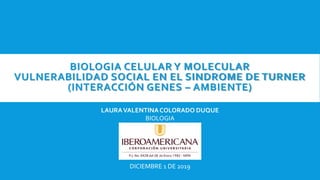 BIOLOGIA CELULAR Y MOLECULAR
VULNERABILIDAD SOCIAL EN EL SINDROME DE TURNER
(INTERACCIÓN GENES – AMBIENTE)
LAURAVALENTINACOLORADO DUQUE
BIOLOGIA
DICIEMBRE 1 DE 2019
 