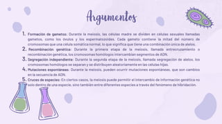 1. Formación de gametos: Durante la meiosis, las células madre se dividen en células sexuales llamadas
gametos, como los óvulos y los espermatozoides. Cada gameto contiene la mitad del número de
cromosomas que una célula somática normal, lo que significa que tiene una combinación única de alelos.
2. Recombinación genética: Durante la primera etapa de la meiosis, llamada entrecruzamiento o
recombinación genética, los cromosomas homólogos intercambian segmentos de ADN.
3. Segregación independiente: Durante la segunda etapa de la meiosis, llamada segregación de alelos, los
cromosomas homólogos se separan y se distribuyen aleatoriamente en las células hijas.
4. Mutaciones espontáneas: Durante la meiosis, pueden ocurrir mutaciones espontáneas, que son cambios
en la secuencia de ADN.
5. Cruces de especies: En ciertos casos, la meiosis puede permitir el intercambio de información genética no
solo dentro de una especie, sino también entre diferentes especies a través del fenómeno de hibridación.
 