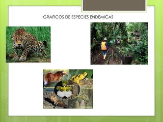 GRAFICOS DE ESPECIES ENDEMICAS
 