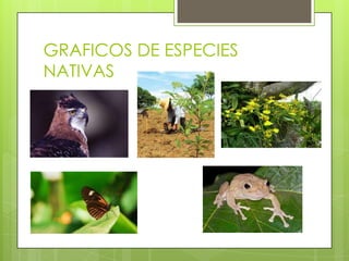 GRAFICOS DE ESPECIES
NATIVAS
 
