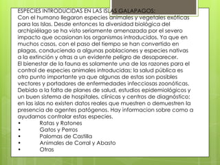 ESPECIES INTRODUCIDAS EN LAS ISLAS GALAPAGOS:
Con el humano llegaron especies animales y vegetales exóticas
para las Islas. Desde entonces la diversidad biológica del
archipiélago se ha visto seriamente amenazada por el severo
impacto que ocasionan los organismos introducidos. Ya que en
muchos casos, con el paso del tiempo se han convertido en
plagas, conduciendo a algunas poblaciones y especies nativas
a la extinción y otras a un evidente peligro de desaparecer.
El bienestar de la fauna es solamente una de las razones para el
control de especies animales introducidas; la salud pública es
otro punto importante ya que algunas de estas son posibles
vectores y portadores de enfermedades infecciosas zoonóticas.
Debido a la falta de planes de salud, estudios epidemiológicos y
un buen sistema de hospitales, clínicas y centros de diagnóstico;
en las islas no existen datos reales que muestren o demuestren la
presencia de agentes patógenos. Hay informacion sobre como a
ayudarnos controlar estas especies.
•         Ratas y Ratones
•         Gatos y Perros
•         Palomas de Castilla
•         Animales de Corral y Abasto
•         Otras
 