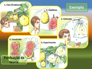 1. Fato (Problema)
                                              Exemplo
                         2. Hipótese


                                       3. Dedução




     5. Conclusão
                     4. Experimento




Publicação da
   teoria
 