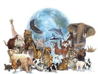 A origem da biologia e as bases do
        pensamento científico
• Qual a característica mais notável do nosso
  planeta?




         O que observas nas
         imagens a seguir?
 