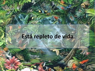 Está repleto de vida
 