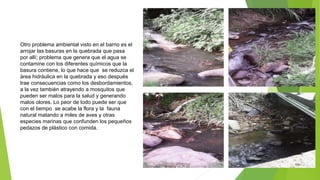 Otro problema ambiental visto en el barrio es el
arrojar las basuras en la quebrada que pasa
por allí; problema que genera que el agua se
contamine con los diferentes químicos que la
basura contiene, lo que hace que se reduzca el
área hidráulica en la quebrada y eso después
trae consecuencias como los desbordamientos,
a la vez también atrayendo a mosquitos que
pueden ser malos para la salud y generando
malos olores. Lo peor de todo puede ser que
con el tiempo se acabe la flora y la fauna
natural matando a miles de aves y otras
especies marinas que confunden los pequeños
pedazos de plástico con comida.
 