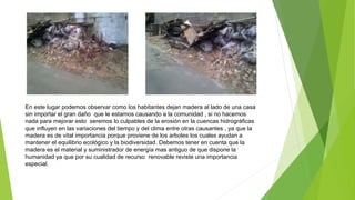 En este lugar podemos observar como los habitantes dejan madera al lado de una casa
sin importar el gran daño que le estamos causando a la comunidad , si no hacemos
nada para mejorar esto seremos lo culpables de la erosión en la cuencas hidrográficas
que influyen en las variaciones del tiempo y del clima entre otras causantes , ya que la
madera es de vital importancia porque proviene de los arboles los cuales ayudan a
mantener el equilibrio ecológico y la biodiversidad. Debemos tener en cuenta que la
madera es el material y suministrador de energía mas antiguo de que dispone la
humanidad ya que por su cualidad de recurso renovable reviste una importancia
especial.
 