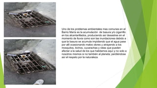 Uno de los problemas ambientales mas comunes en el
Barrio María es la acumulación de basura y/o cigarrillo
en los alcantarillados, produciendo así desastres en el
momento de lluvia como son las inundaciones debido a
que la basura se acumula impidiendo que el agua pase
por allí ocasionando malos olores y atrayendo a los
mosquitos, bichos, cucarachas y ratas que pueden
afectar a la salud de los que habitamos aquí y no solo a
nosotros mismos si no también al planeta; perdiéndose
así el respeto por la naturaleza.
 
