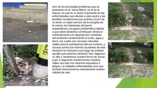 Uno de los principales problemas que se
presentan en el barrio María; es el de la
basura, el cual es un factor importante en las
enfermedades que afectan a este sector y las
posibles inundaciones que podrían ocurrir de
no tener un mejor servicio de la recogida de
la misma; los habitantes del barrio
presentamos una grave problemática debido
a que estos desechos contribuyen directa e
indirectamente a la degradación inmediata
del ambiente contaminando el suelo, agua y
tierra, los cuales son recursos naturales
vitales para la subsistencia del ser humano, y
aunque somos los mismos causantes de esta
situación es necesario que luego de analizar
aquello que estamos haciendo mal, hagamos
un alto y cambiemos nuestra forma de actuar,
pues si seguimos contaminando nuestras
calles nos solo nos veremos expuestos a
plagas y a múltiples enfermedades sino que
también disminuiremos notoriamente nuestra
calidad de vida.
 