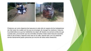 Podemos ver como dejamos las basuras en este sitio en espera de los trabajadores
de inter aseo los cuales son los que se encargan de recoger los residuos ( basura),
la problemática es que los habitantes los dejan allí desde una semana antes de que
suceda esto, provocando que los animales arrastren todas estas basuras sacando
todo lo de la bolsa y dejando todo esto en la calle. Siendo esto una vía peatonal
donde diariamente pasan personas por encima de todos estos desechos.
 
