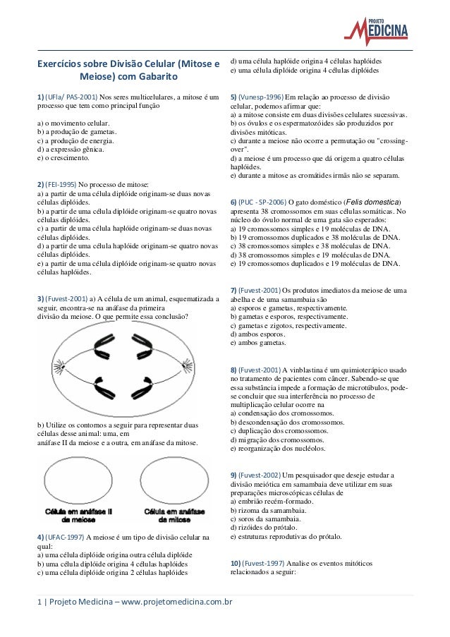 Pesquisa sobre biologia genetica