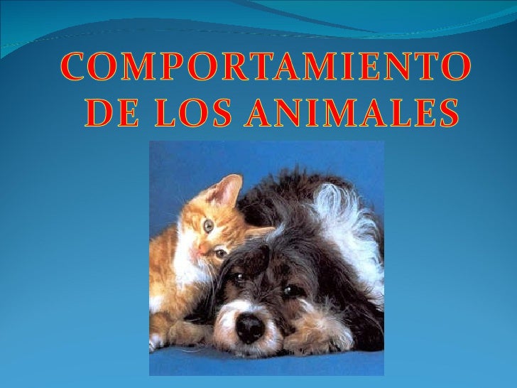 Biologia comportamiento animal