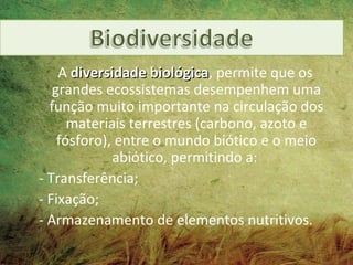 A diversidade biológica, permite que os
                    biológica
   grandes ecossistemas desempenhem uma
  função muito importante na circulação dos
      materiais terrestres (carbono, azoto e
    fósforo), entre o mundo biótico e o meio
             abiótico, permitindo a:
- Transferência;
- Fixação;
- Armazenamento de elementos nutritivos.
 