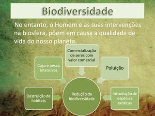 No entanto, o Homem e as suas intervenções
na biosfera, põem em causa a qualidade de
vida do nosso planeta.
 