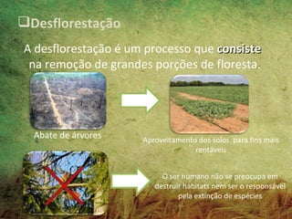 Desflorestação
A desflorestação é um processo que consiste
 na remoção de grandes porções de floresta.




  Abate de árvores   Aproveitamento dos solos para fins mais
                                   rentáveis


                          O ser humano não se preocupa em
                        destruir habitats nem ser o responsável
                               pela extinção de espécies
 