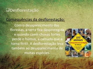 Desflorestação

Consequências da desflorestação:
     Com o desaparecimento das
  florestas, a terra fica desprotegida
     e quando caem chuvas fortes
    perde o húmus, a camada que a
   torna fértil. A desflorestação leva
   também ao desaparecimento de
           muitas espécies.
 