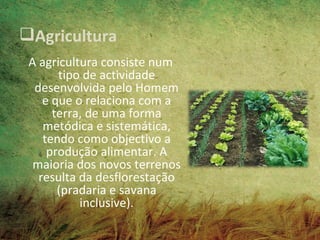 Agricultura
 A agricultura consiste num
       tipo de actividade
  desenvolvida pelo Homem
    e que o relaciona com a
      terra, de uma forma
    metódica e sistemática,
    tendo como objectivo a
     produção alimentar. A
  maioria dos novos terrenos
   resulta da desflorestação
       (pradaria e savana
           inclusive).
 