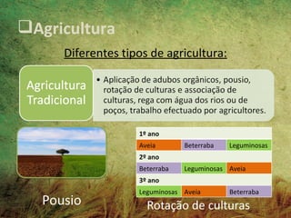 Agricultura
     Diferentes tipos de agricultura:




                   1º ano
                   Aveia       Beterraba   Leguminosas
                   2º ano
                   Beterraba   Leguminosas Aveia
                   3º ano
                   Leguminosas Aveia       Beterraba
 