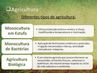 Agricultura
     Diferentes tipos de agricultura:
 