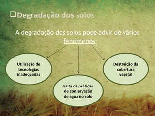 Degradação dos solos

 A degradação dos solos pode advir de vários
                fenómenos:


 Utilização de                       Destruição da
  tecnologias                         cobertura
 inadequadas                            vegetal

                 Falta de práticas
                 de conservação
                 de água no solo
 