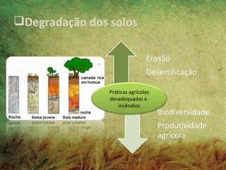 Degradação dos solos




                Práticas agrícolas
                desadequadas e
                    incêndios
 