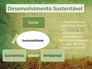 O desenvolvimento
                    sustentável procura
                          conciliar o
                      desenvolvimento
                      económico com a
Sustentabilidade   preservação ambiental
                      e ainda, pôr fim à
                    pobreza no mundo.
 
