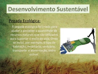 Pegada Ecológica:
 A pegada ecológica foi criada para
 ajudar a perceber a quantidade de
recursos naturais que são utilizados
para suportar o estilo de vida. Onde
  se inclui, por exemplo, o tipo de
  habitação, mobiliário, vestuário,
  transporte e alimentação, entre
                outros.
 