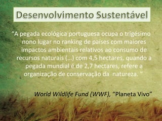 “A pegada ecológica portuguesa ocupa o trigésimo
    nono lugar no ranking de países com maiores
    impactos ambientais relativos ao consumo de
  recursos naturais (…) com 4,5 hectares, quando a
     pegada mundial é de 2,7 hectares, refere a
     organização de conservação da natureza. “

        World Wildlife Fund (WWF), “Planeta Vivo”
 