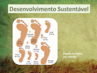 Pegada ecológica
por cidadão
 