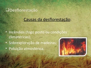 Desflorestação

          Causas da desflorestação:

• Incêndios (fogo posto ou condições
  climatéricas);
• Sobrexploração de madeiras;
• Poluição atmosférica.
 