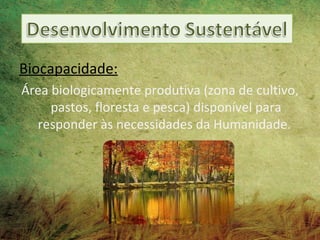 Biocapacidade:
Área biologicamente produtiva (zona de cultivo,
     pastos, floresta e pesca) disponível para
  responder às necessidades da Humanidade.
 