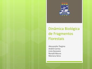 Dinâmica Biológica de Fragmentos Florestais Alessandra Targino André Correa Lívia Geovane Ronald Moura Mariana Sena 