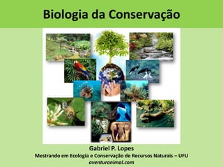 Biologia da Conservação

Gabriel P. Lopes
Mestrando em Ecologia e Conservação de Recursos Naturais – UFU
aventuranimal.com

 