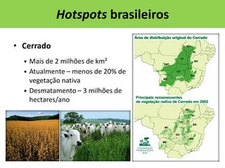 Hotspots brasileiros
• Cerrado
• Mais de 2 milhões de km²
• Atualmente – menos de 20% de

vegetação nativa
• Desmatamento – 3 milhões de
hectares/ano

 