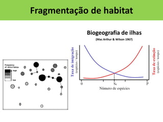 Fragmentação de habitat
Biogeografia de ilhas
(Mac Arthur & Wilson 1967)

 