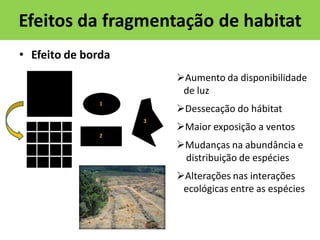Efeitos da fragmentação de habitat
• Efeito de borda
Aumento da disponibilidade
de luz
Dessecação do hábitat
Maior exposição a ventos
Mudanças na abundância e
distribuição de espécies

Alterações nas interações
ecológicas entre as espécies

 