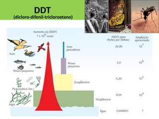 DDT

(dicloro-difenil-tricloroetano)

 
