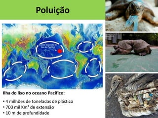 Poluição

Ilha do lixo no oceano Pacífico:
• 4 milhões de toneladas de plástico
• 700 mil Km² de extensão
• 10 m de profundidade

 