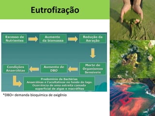 Eutrofização

*DBO= demanda bioquímica de oxigênio

 