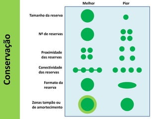 Melhor

Conservação

Tamanho da reserva

Nº de reservas

Proximidade
das reservas
Conectividade
das reservas
Formato da
reserva

Zonas tampão ou
de amortecimento

Pior

 