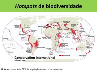 Hotspots de biodiversidade

Hotspots: em média 88% da vegetação natural já desapareceu

 