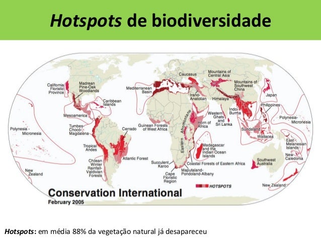 Resultado de imagem para hotspots brasileiro ameaçado de extinção