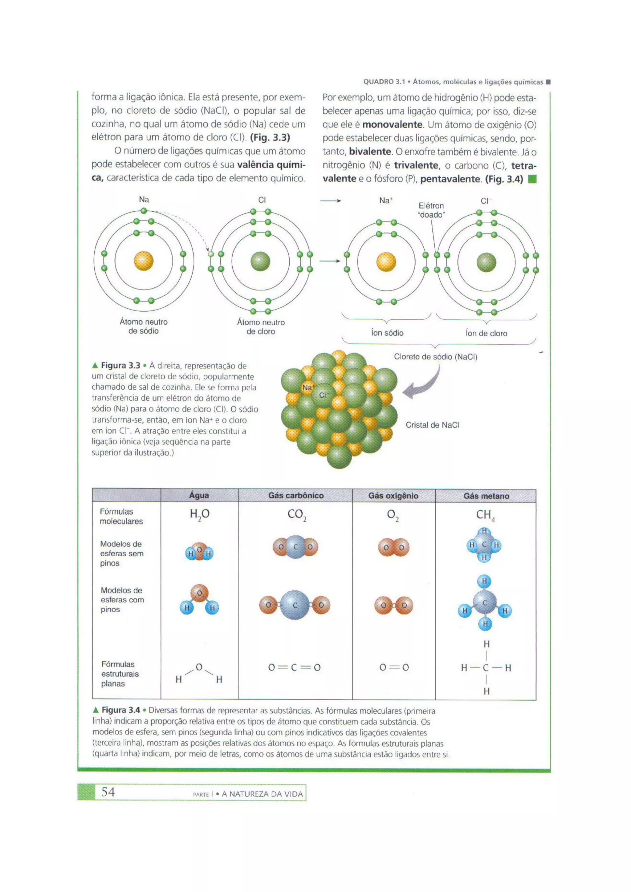 Biologia das células volume 1 (amabis e martho)