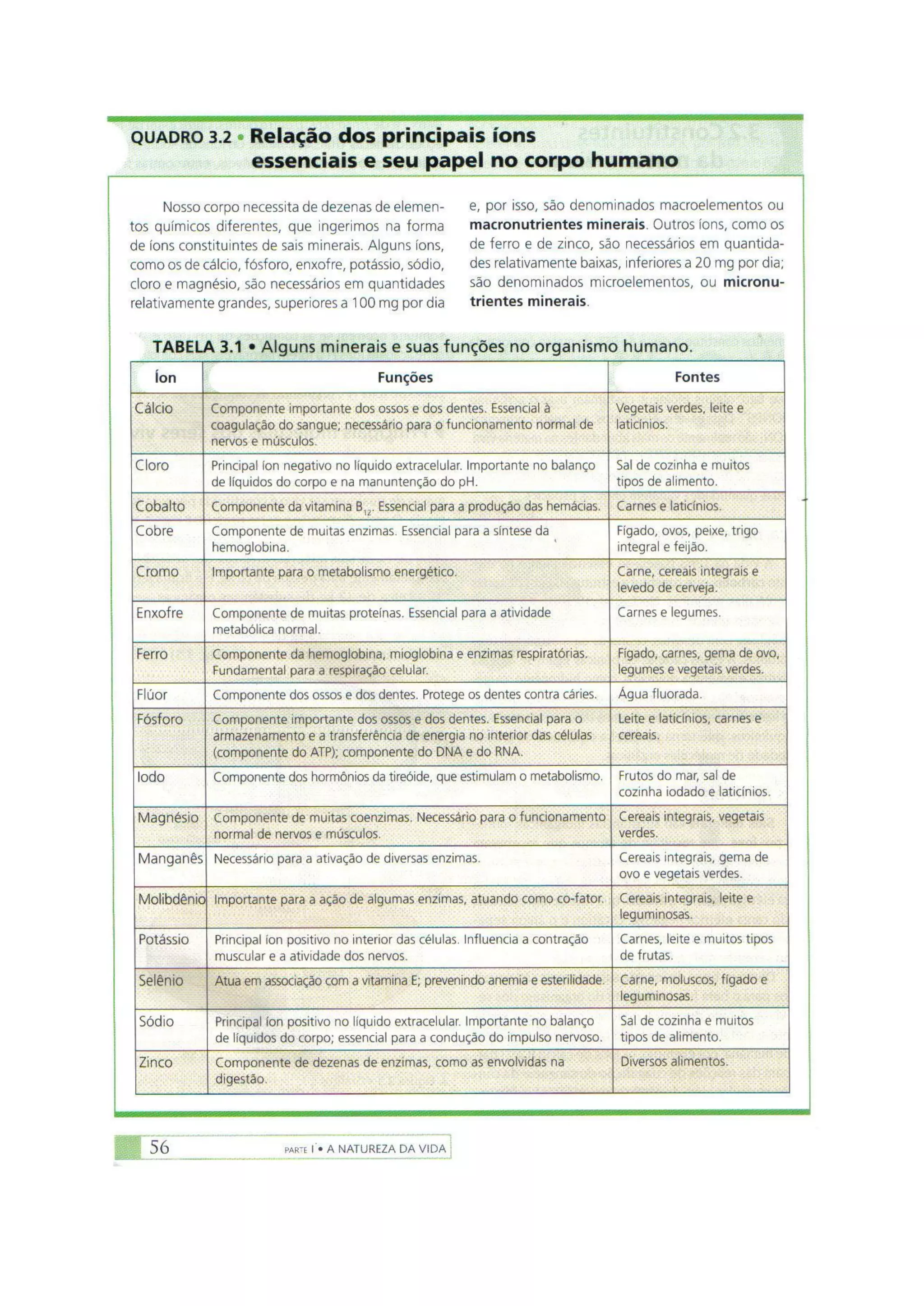 Biologia das células volume 1 (amabis e martho)