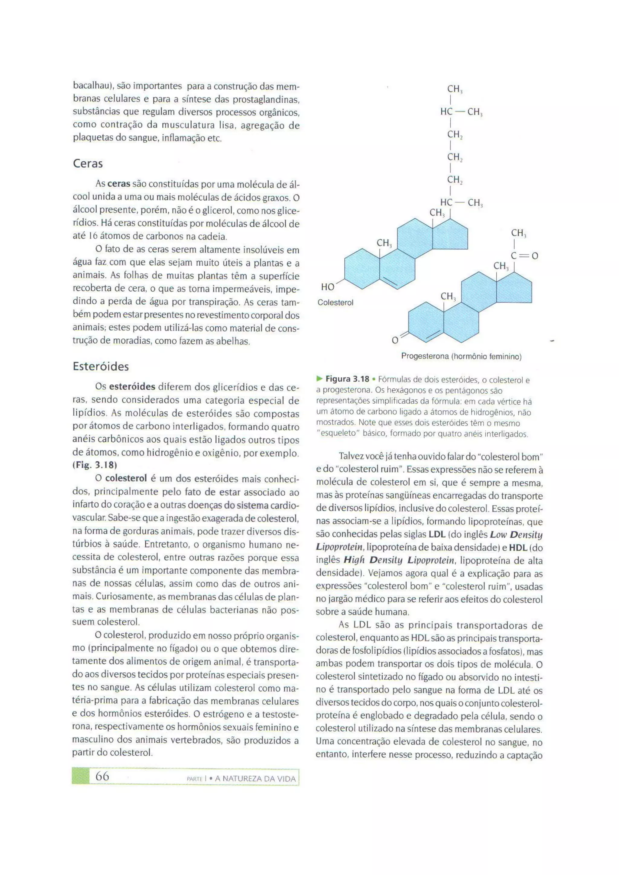Biologia das células volume 1 (amabis e martho)