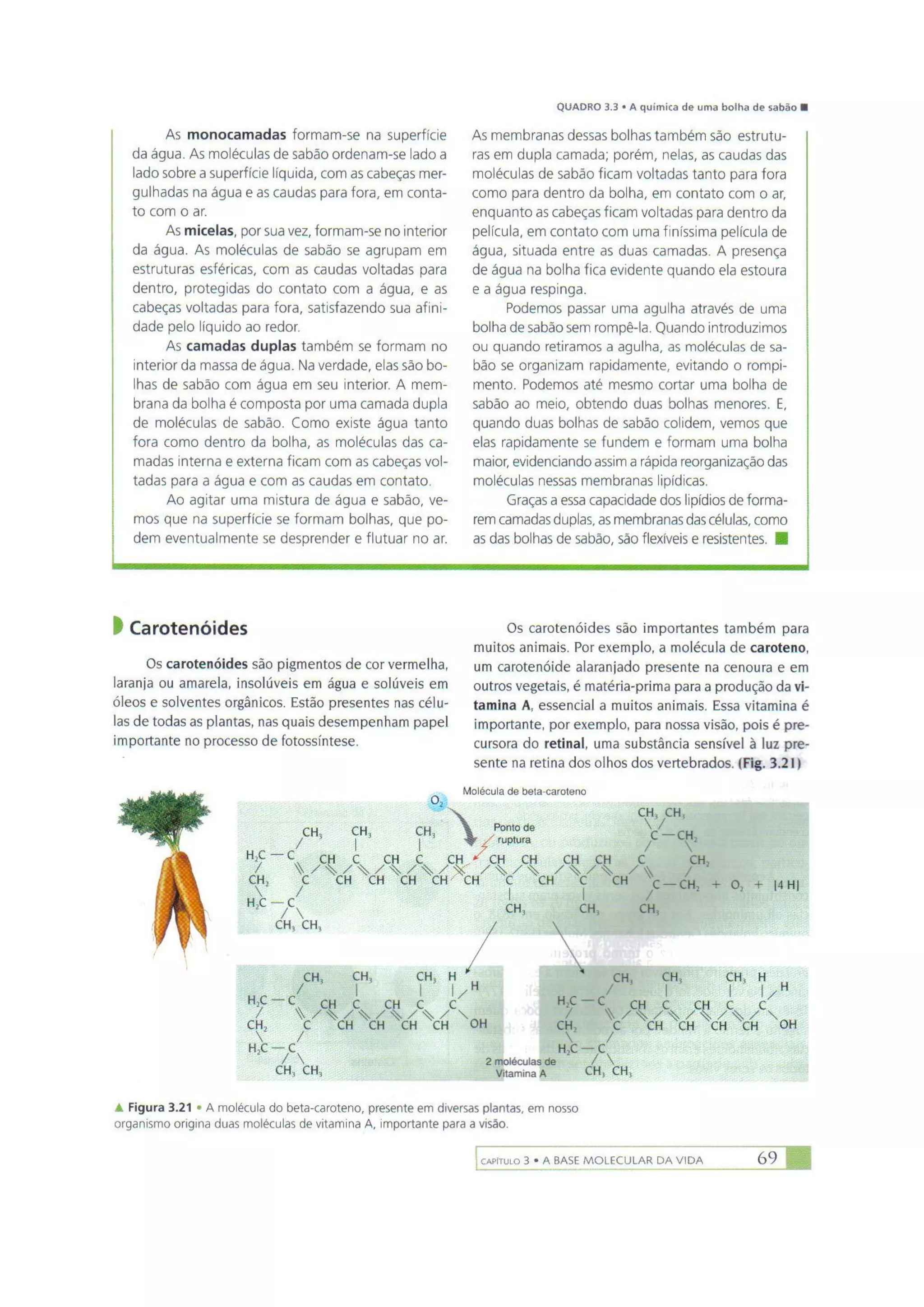 Biologia das células volume 1 (amabis e martho)