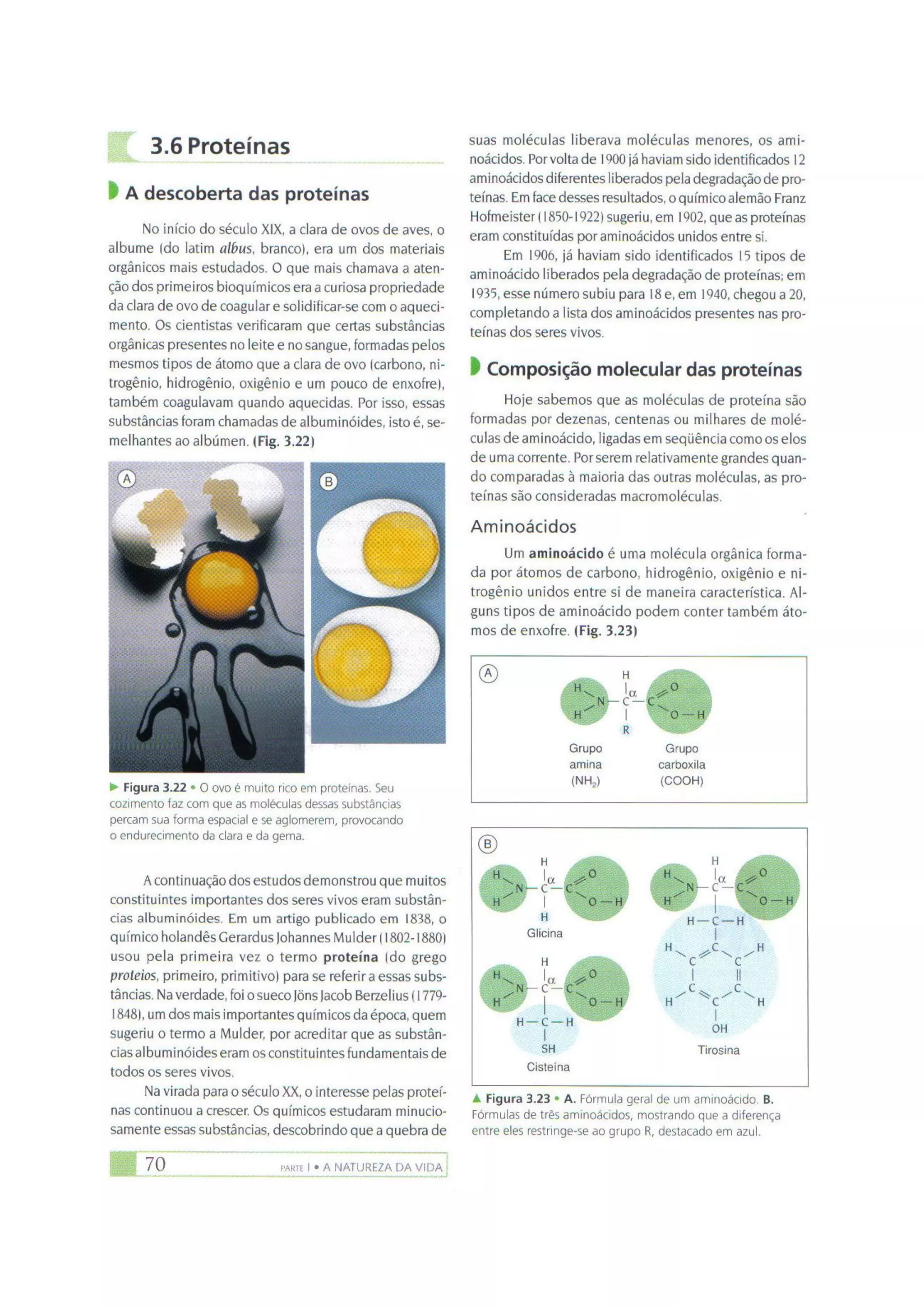 Biologia das células volume 1 (amabis e martho)