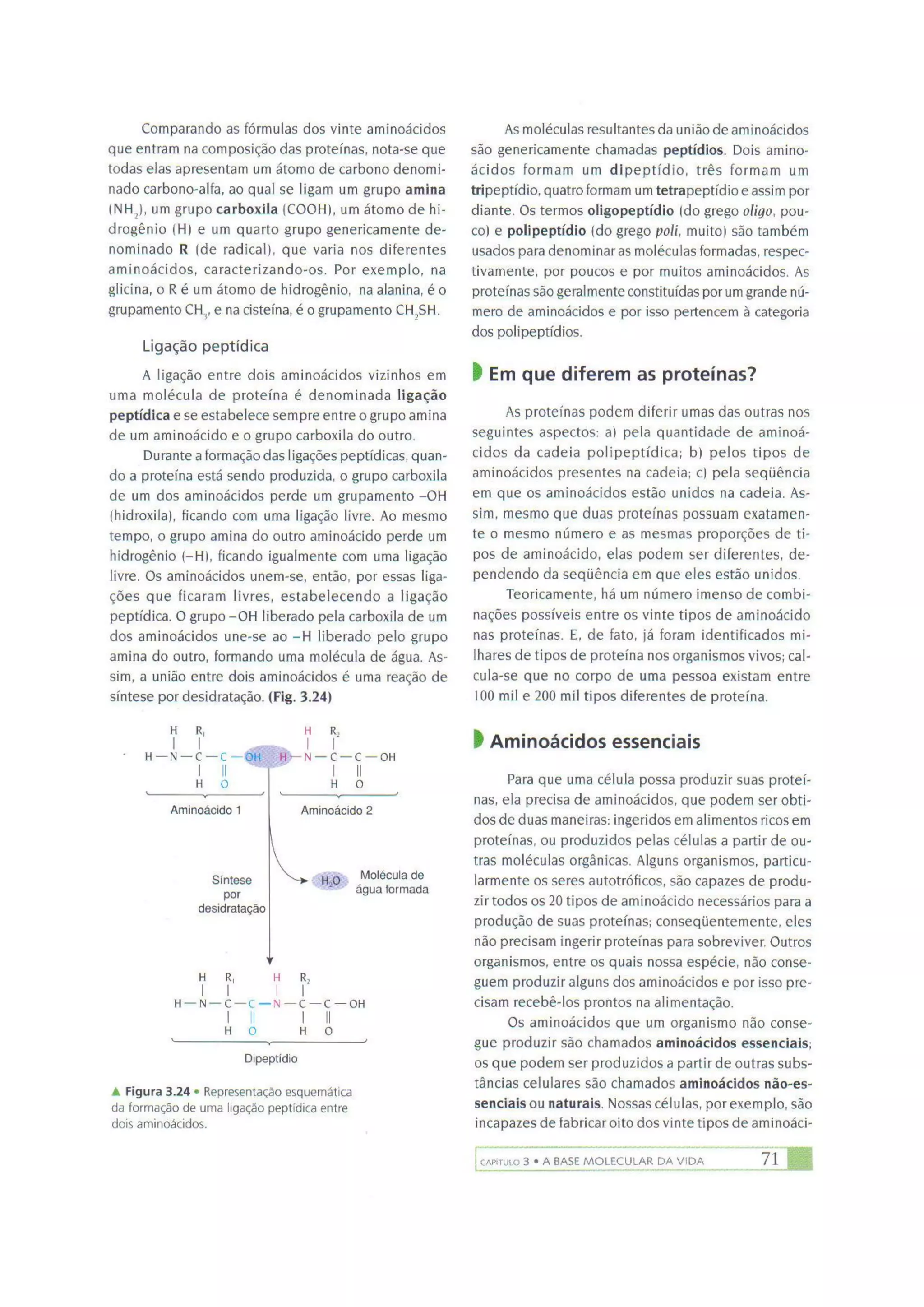 Biologia das células volume 1 (amabis e martho)