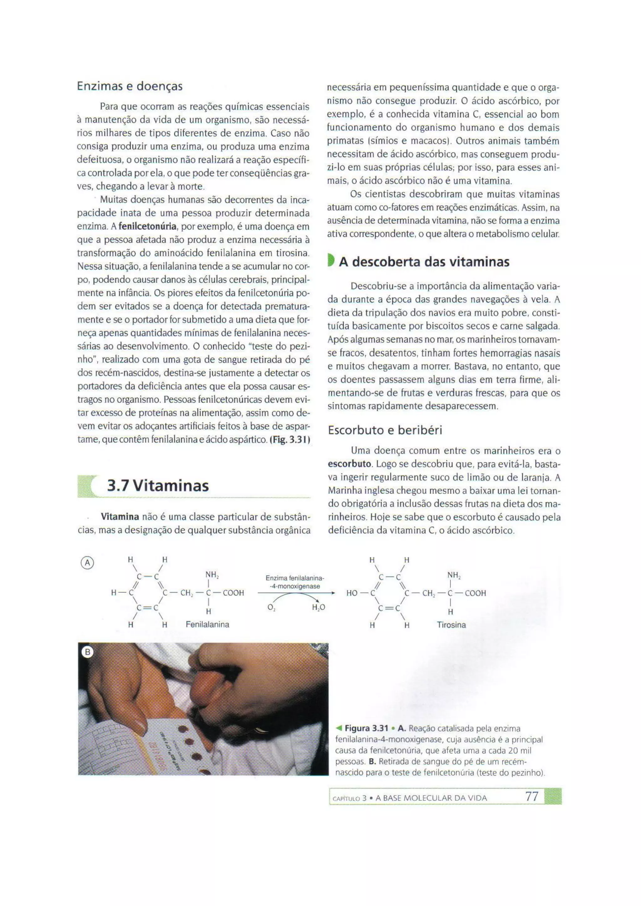 Biologia das células volume 1 (amabis e martho)