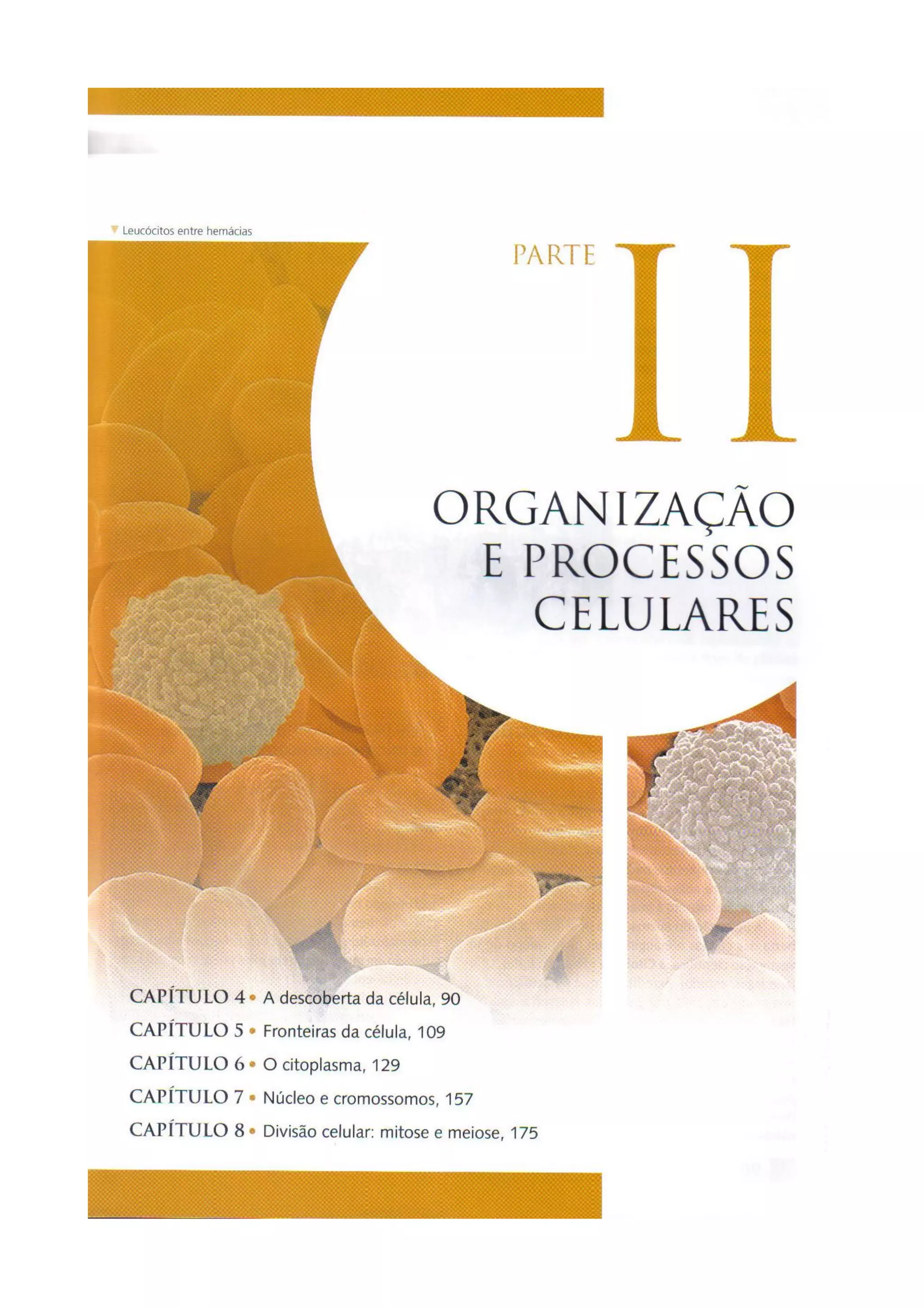 Biologia das células volume 1 (amabis e martho)